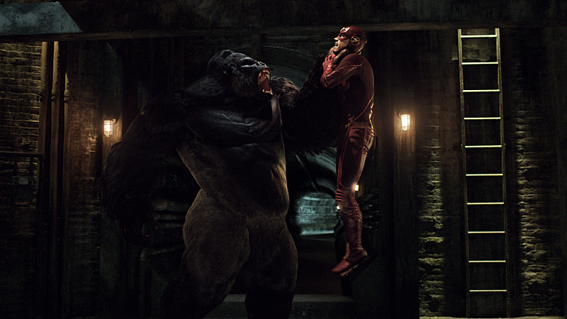The Flash -- "Grodd Lives" -- Image FLA121_SG_049.020.001 -- Pictured (L-R): Grodd and Grant Gustin as Barry Allen / The Flash -- Photo: The CW -- ÃÂ© 2015 The CW Network, LLC. All rights reserved.